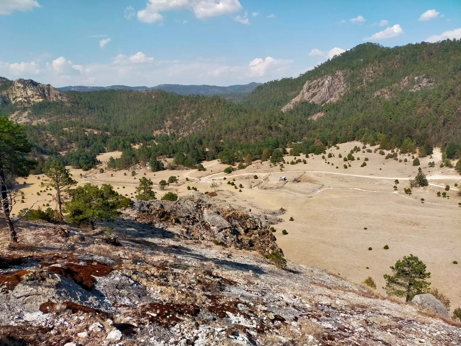 Responsabilidad Social - Medio Ambiente