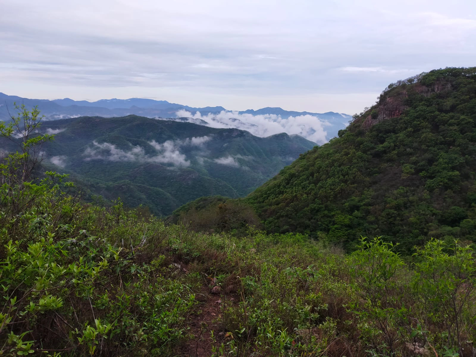 EMIRSA - Equipo e Instalaciones